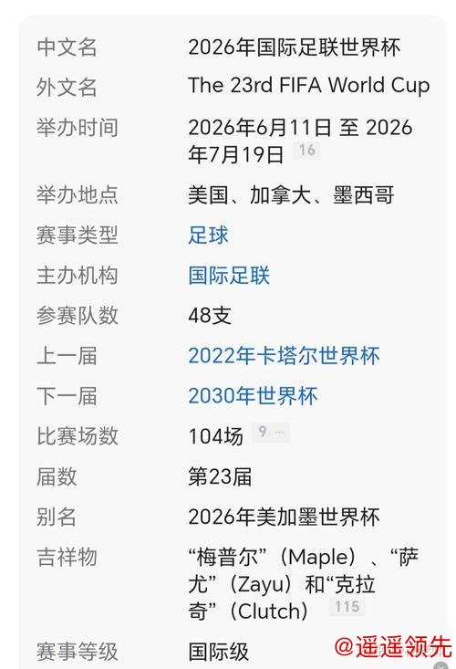 2026世界杯买球入口指南