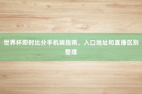 世界杯即时比分手机端指南，入口地址和直播区别整理